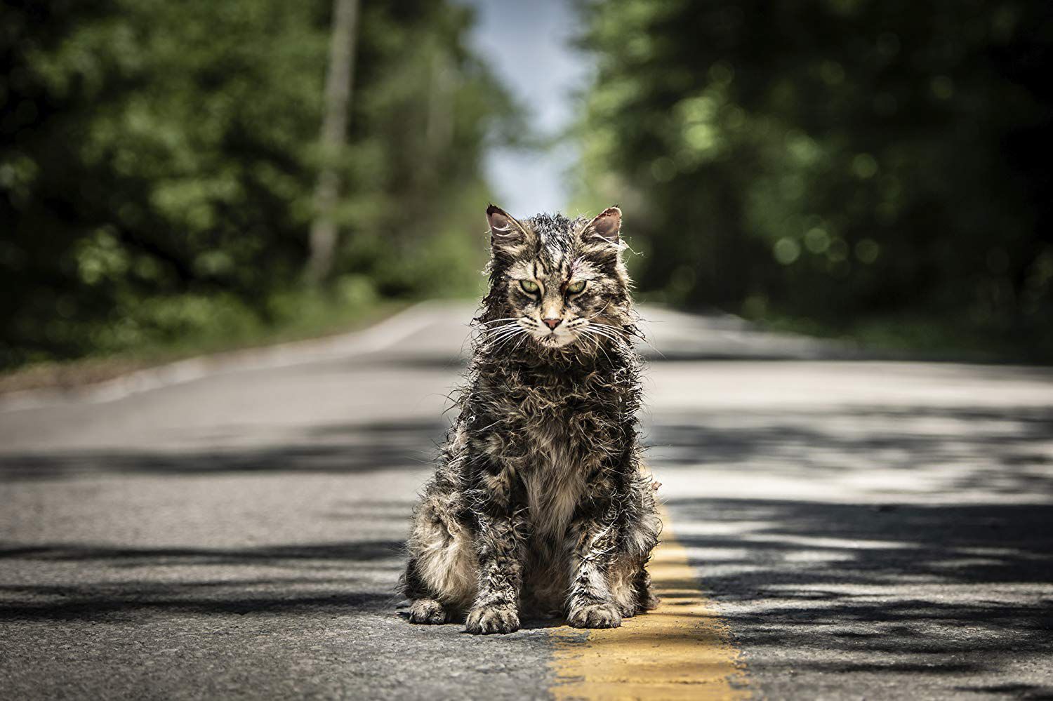 PetSematary1